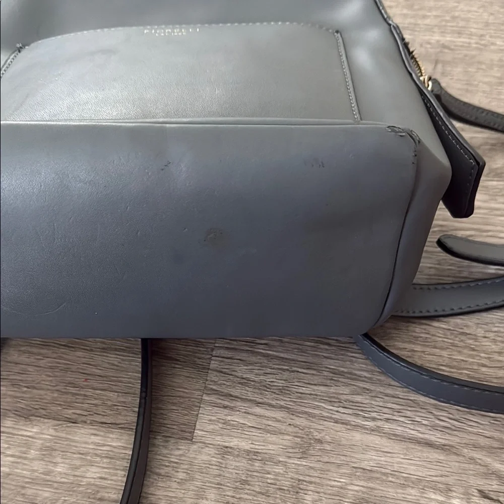 Fiorelli Slate Gray Backpack